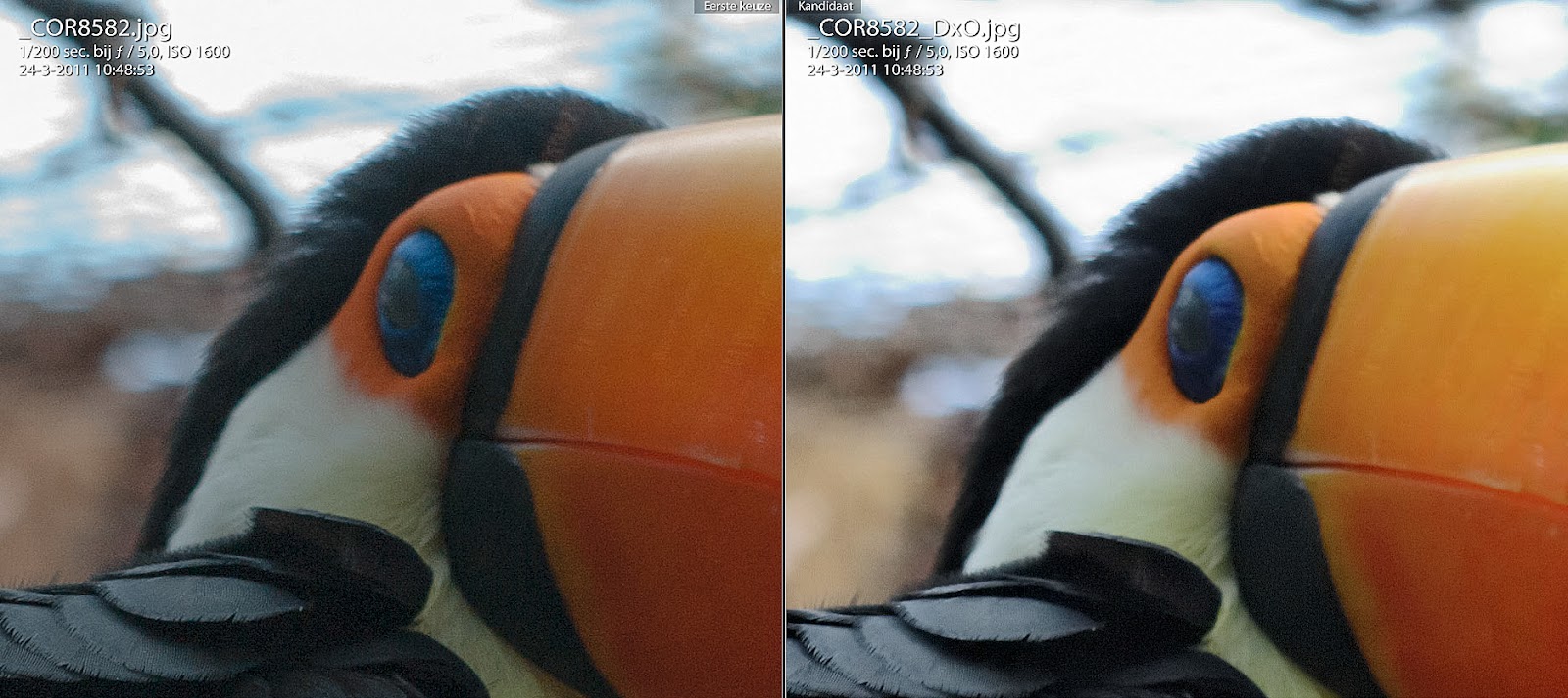 lightroom vs dxo lightroom vs dxo