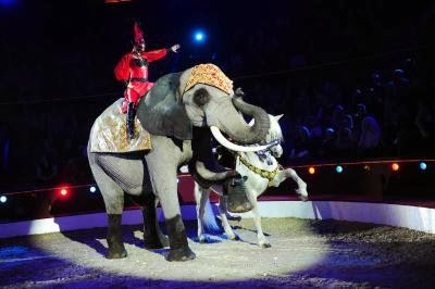 HUNGARY-CIRCUS-FESTIVAL