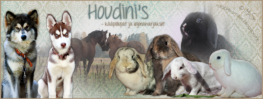 Houdini's