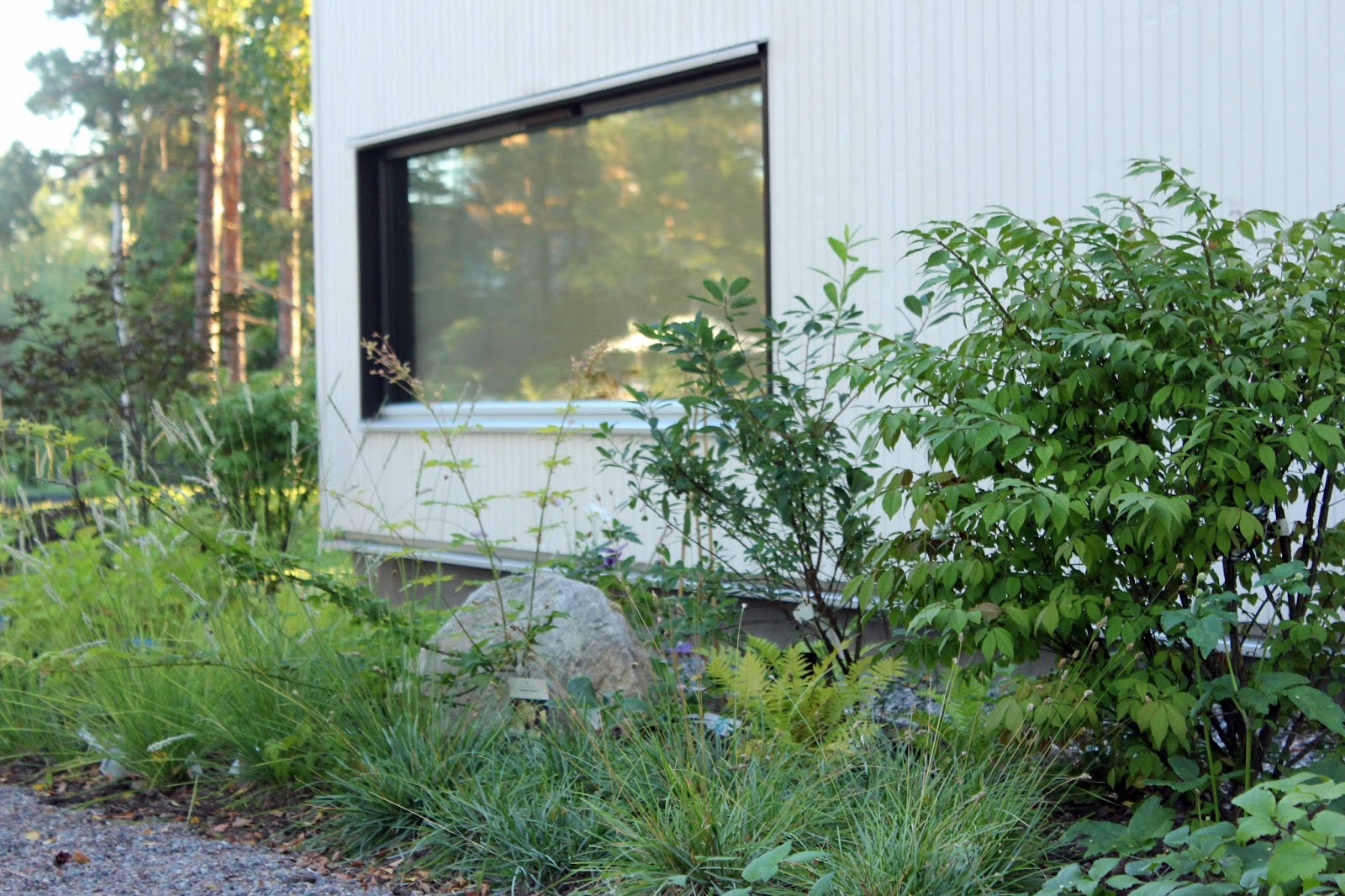 siglinchen gartenprojekte teil 8 das beet an der hauswand