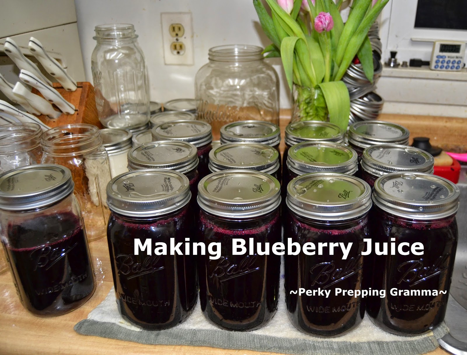Perky Prepping Gramma How To Make Blueberry Juice Blueberry Weekend
