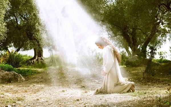 The Dance of Life with Jenna: July 2012