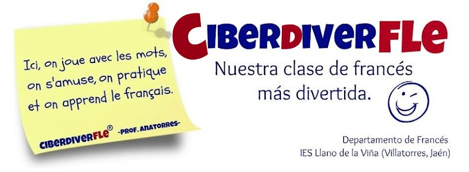 CiberDiverFLE