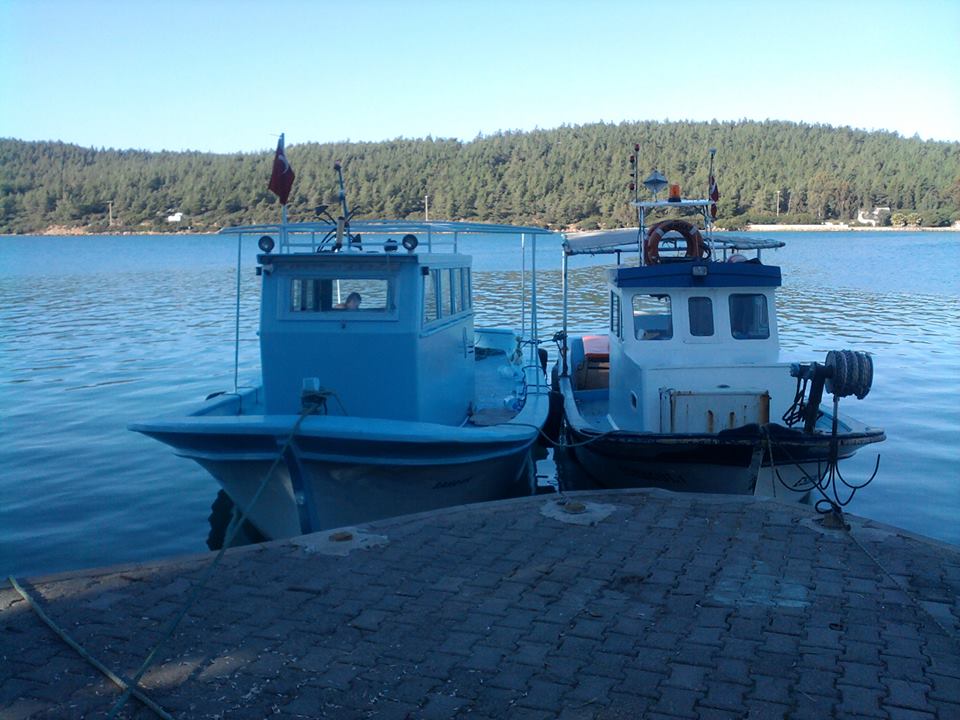 Balik Avi Oltaci Teknesi Bodrum Egede Balik Turu Balik Avibalik Avi Tekne Turu Kiralik Tekne