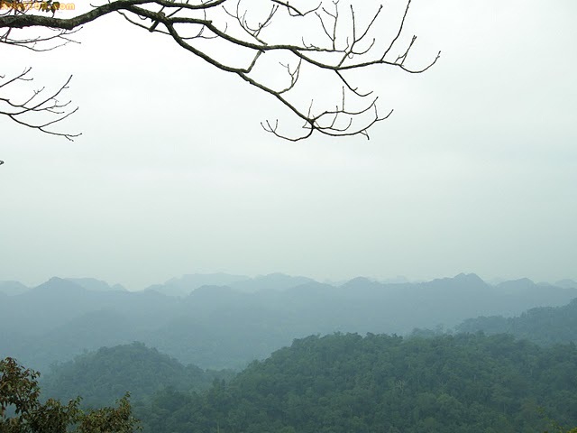 Hình ảnh đẹp về Ninh Bình - danh lam thắng cảnh, rừng Cúc Phương