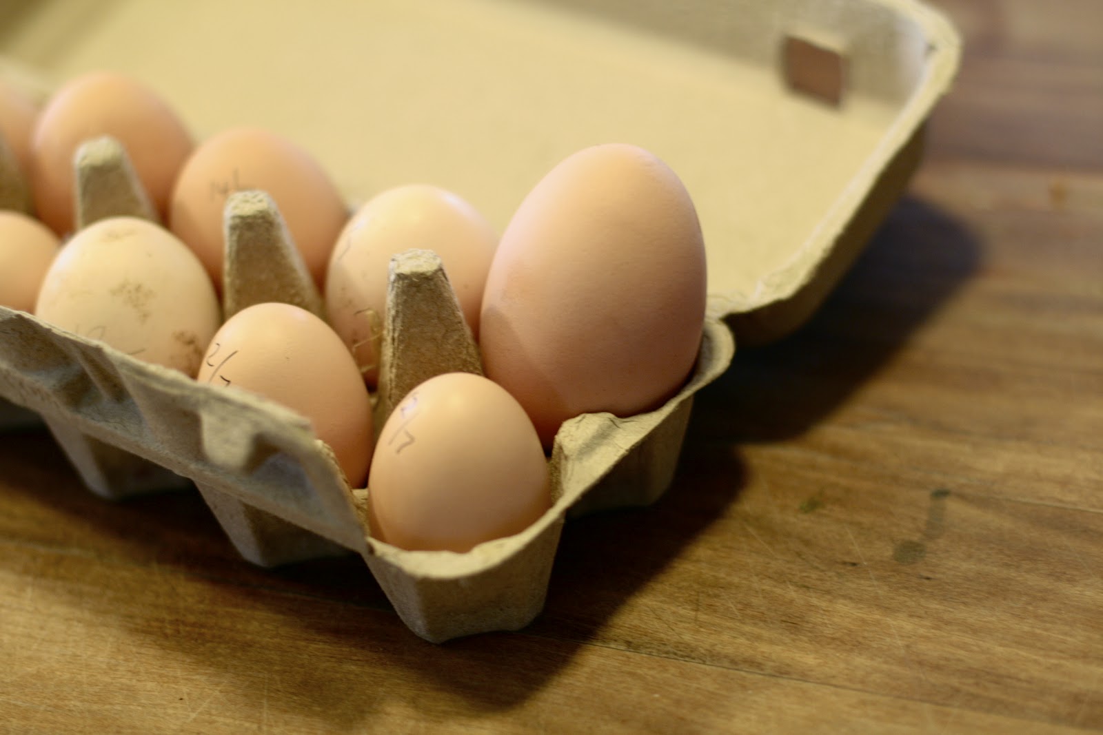 Lempo Bee beeswax shoe polish