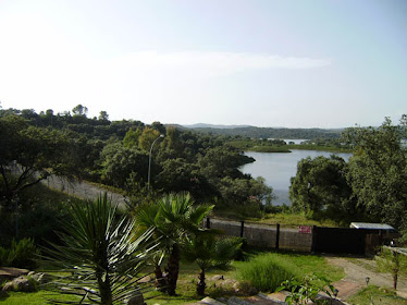 Vista desde dormitorio