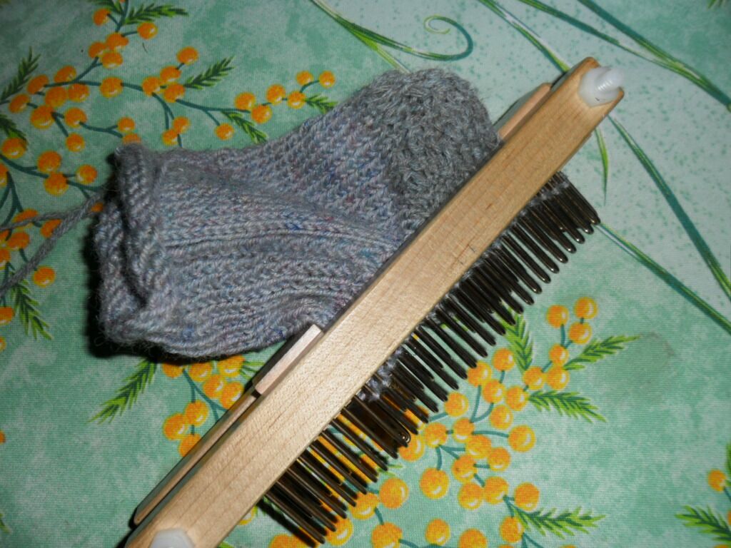 tricotin geant belge