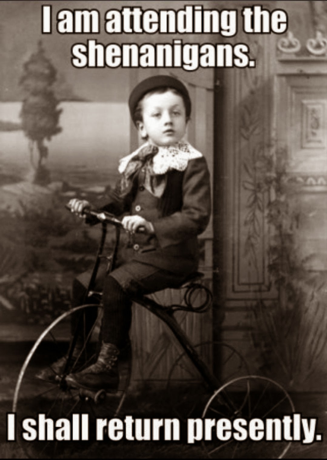 Saturday Shenanigans Quotes at Rosalind Montes blog