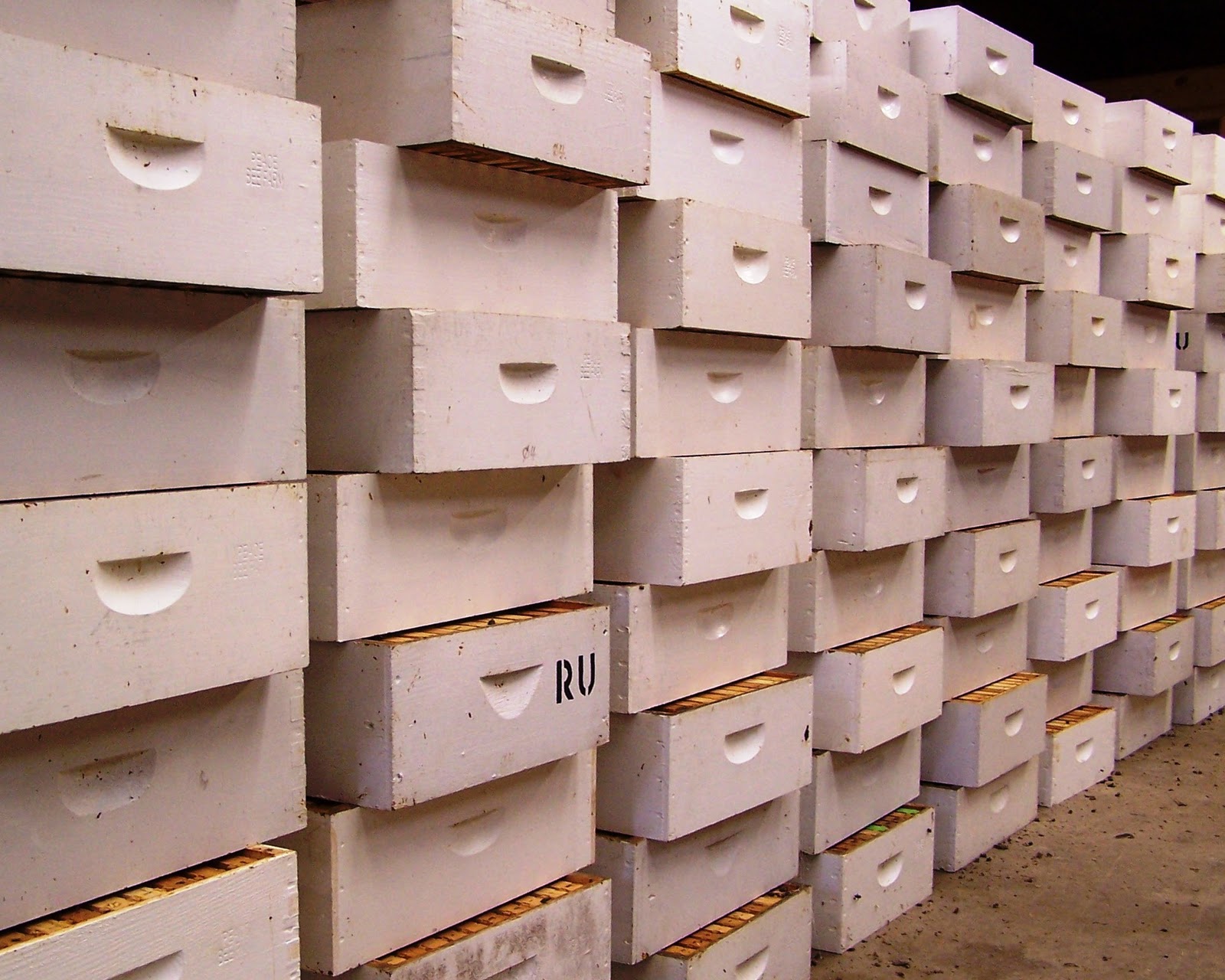 Beekeeping Supers at William Bryant blog