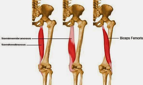 Rachel Hubbard Fitness: Stretch - Hamstrings