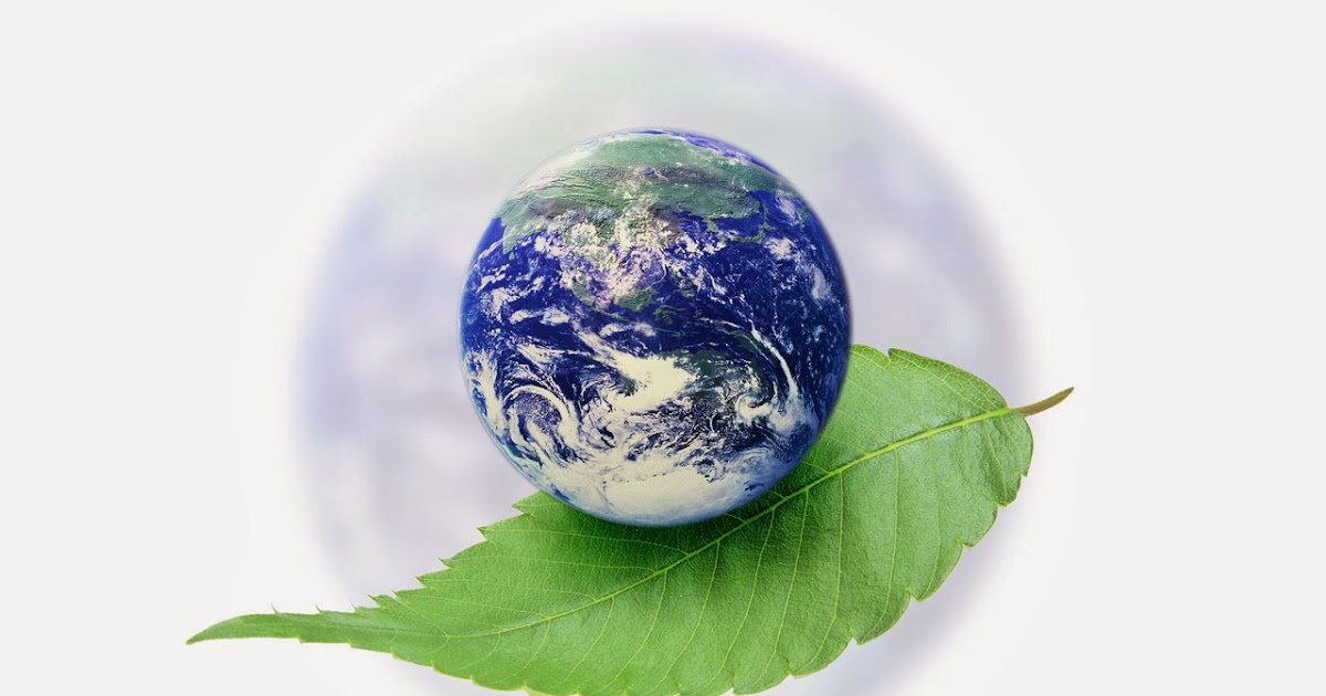 kerusakan lingkungan