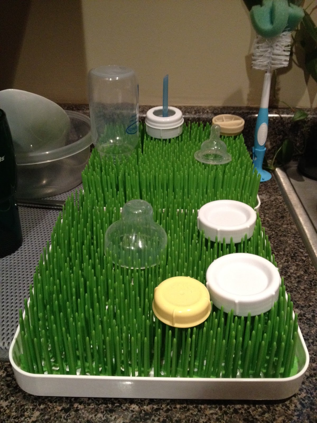 Baba G & Me Dr. Brown's Natural Flow Bottles