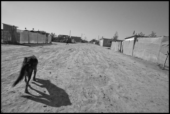 Https Www Domestika Org Es Projects 249827 Www Revidoxadn