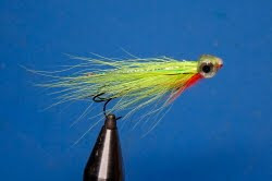 Asp Tube Fly