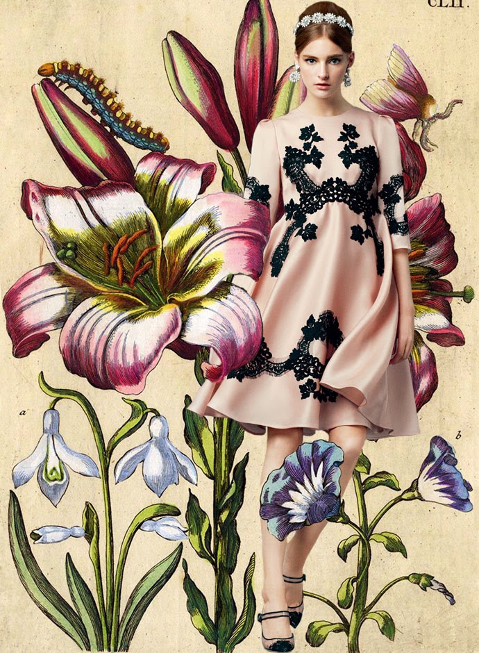 Tuba Edman: Dolce & Gabbana Spring Summer 2014 collection ...