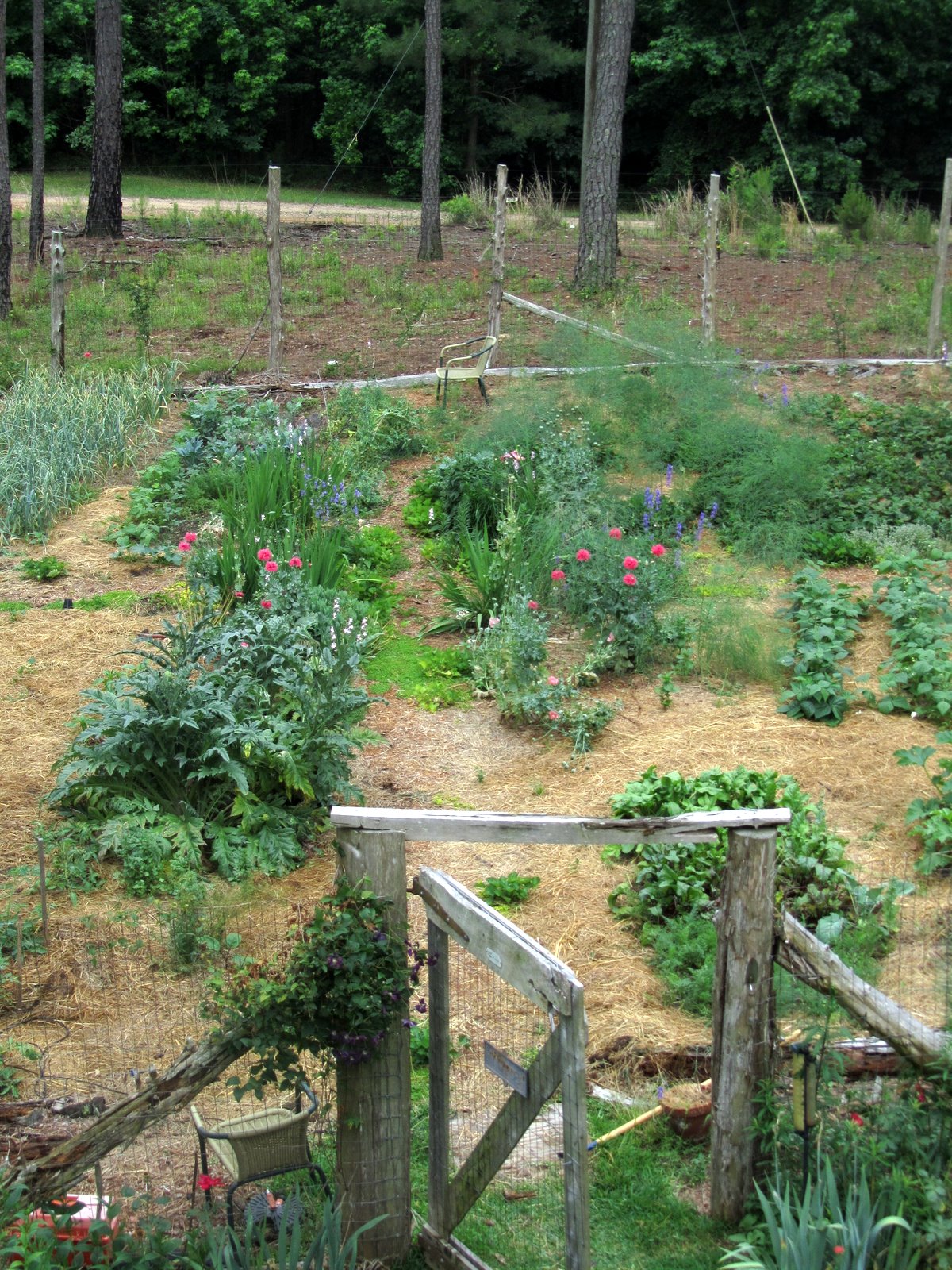 Mary Ann's Country Garden Bird's Eye View of the Vegetable Garden