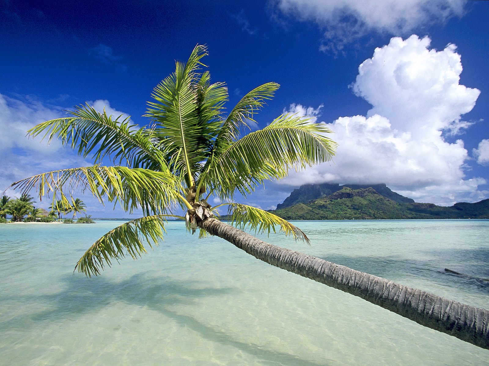 Tropical Island Screensaver