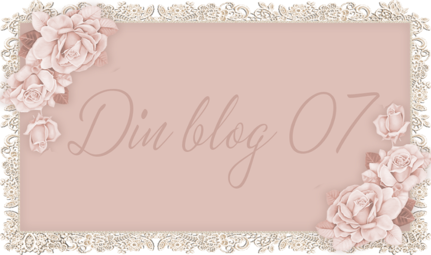 Din blog 07