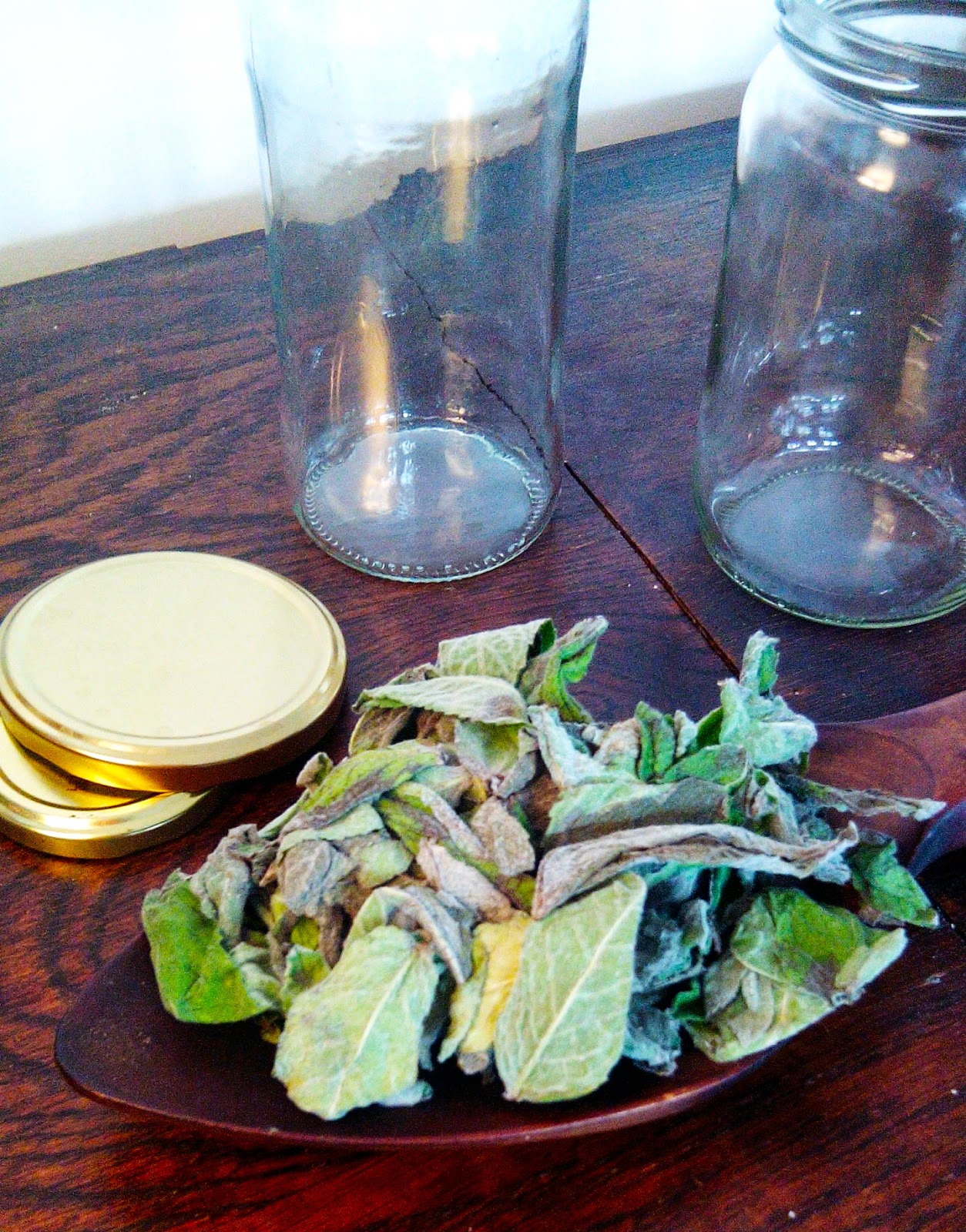 Thriving in Belgium with a Paleo Lifestyle Homemade Mint Extract {plus