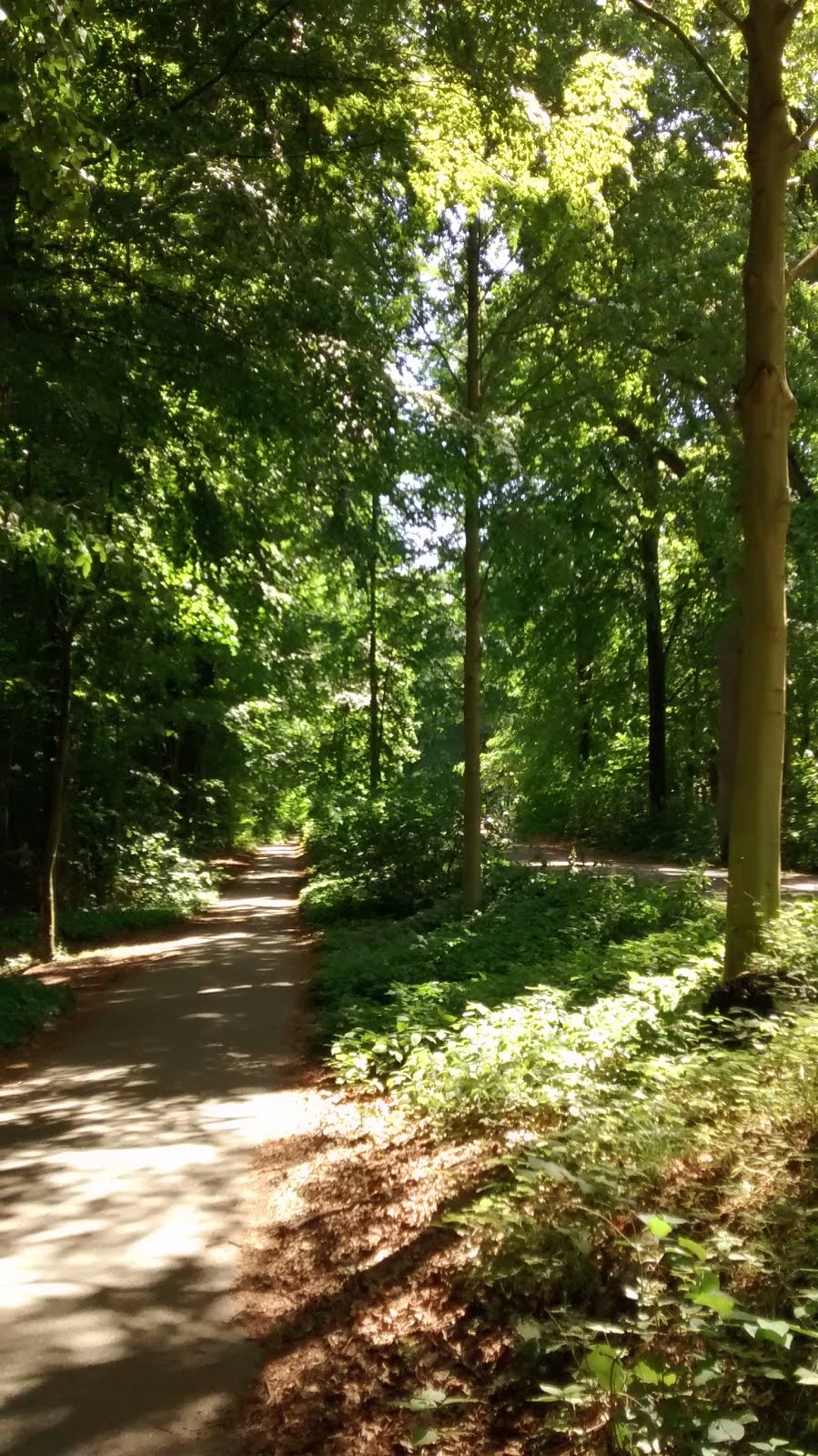 Cycle path near Aarhus