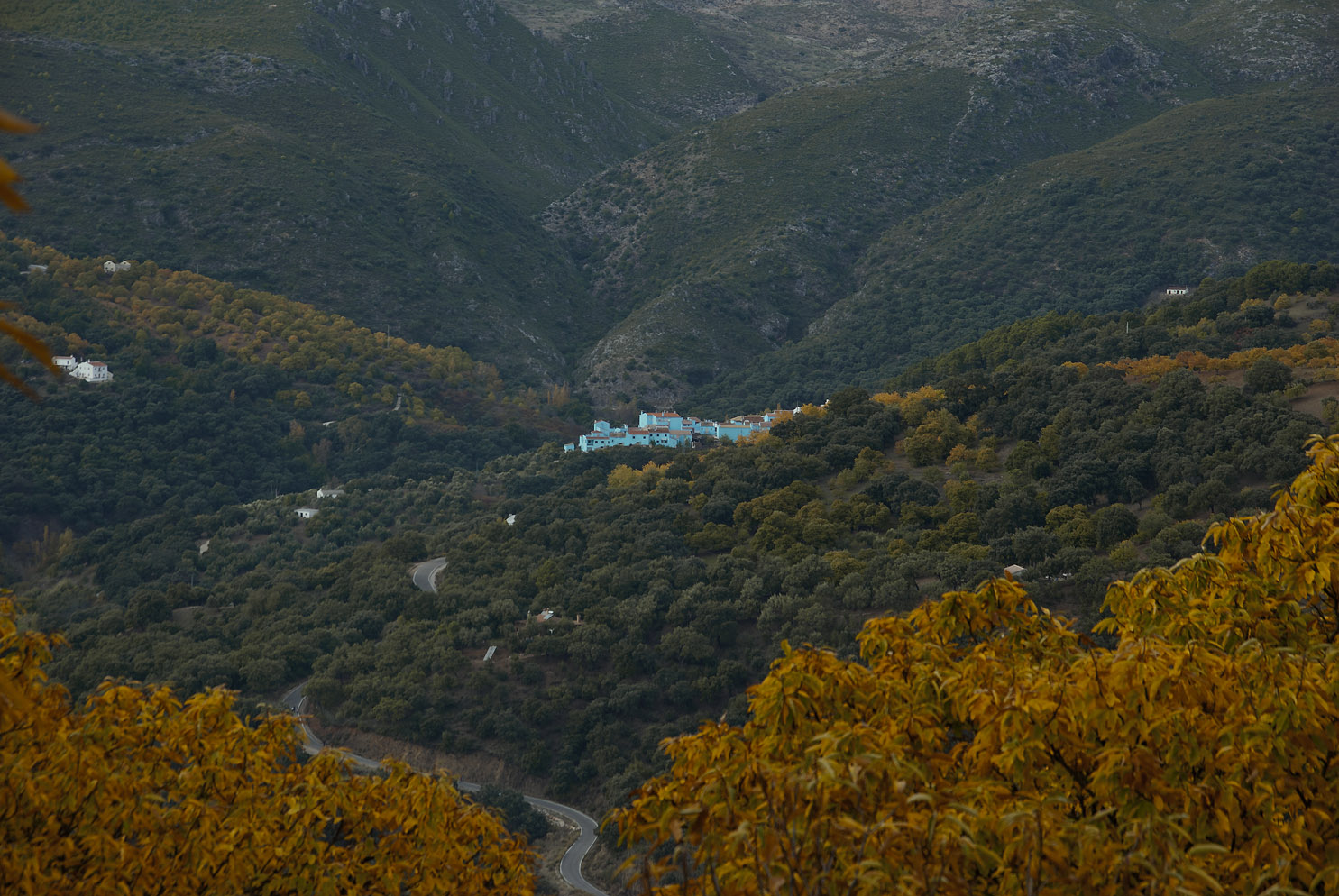 Mis Rutas Fotográficas Otoño en el Valle del Genal