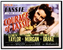 Courage of Lassie (1946)