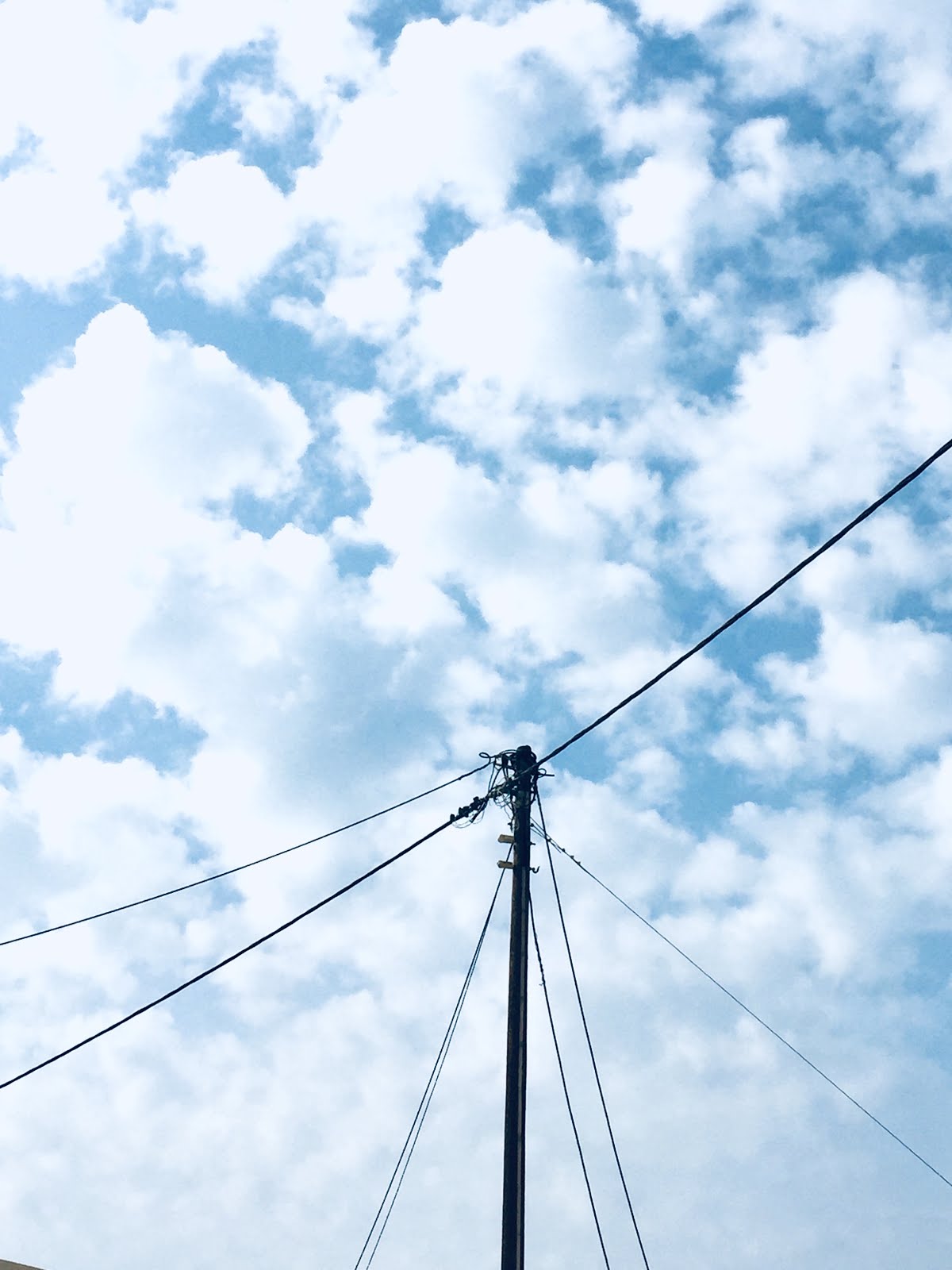 Franks Unfug Oktober 2018