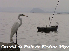 Caminha na Trilha-Magé