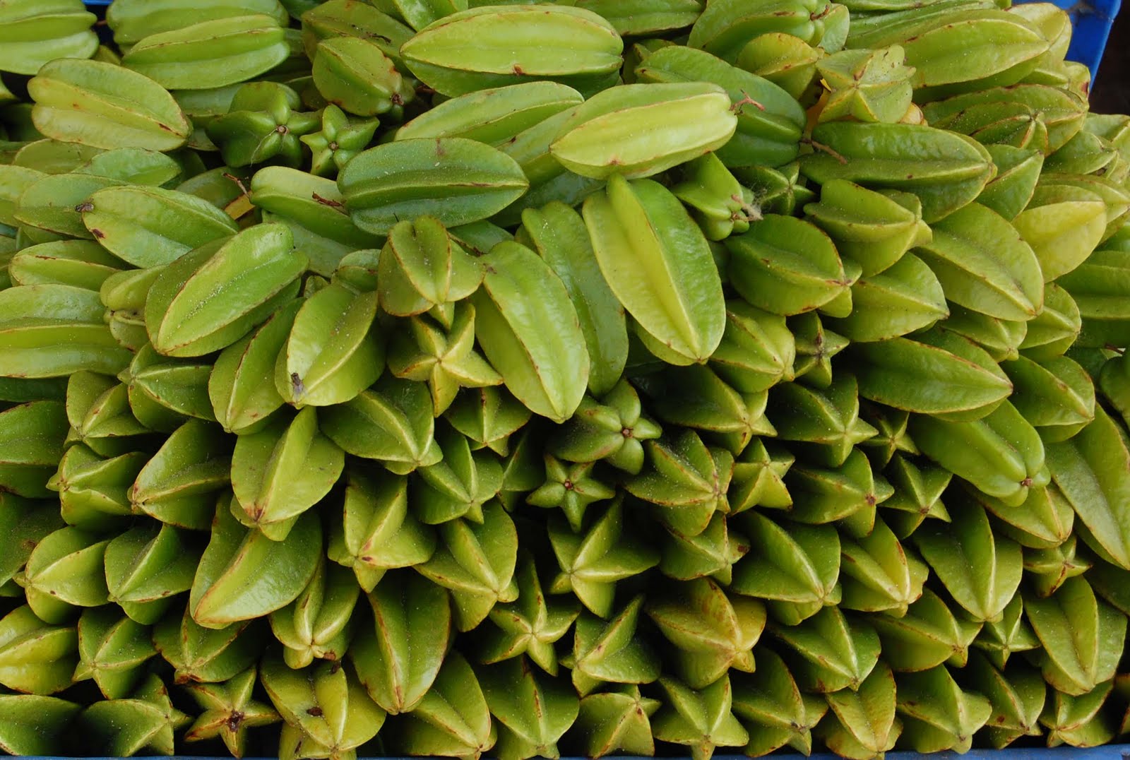 No words to say Summer special Fruits Kodaikanal