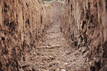 Ground Soil