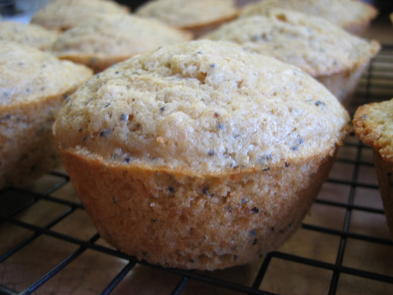 Happy in Dole Valley Muffin Monday Lemon Poppy Seed Muffins