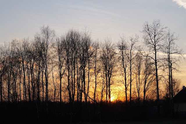DSC04389.JPG