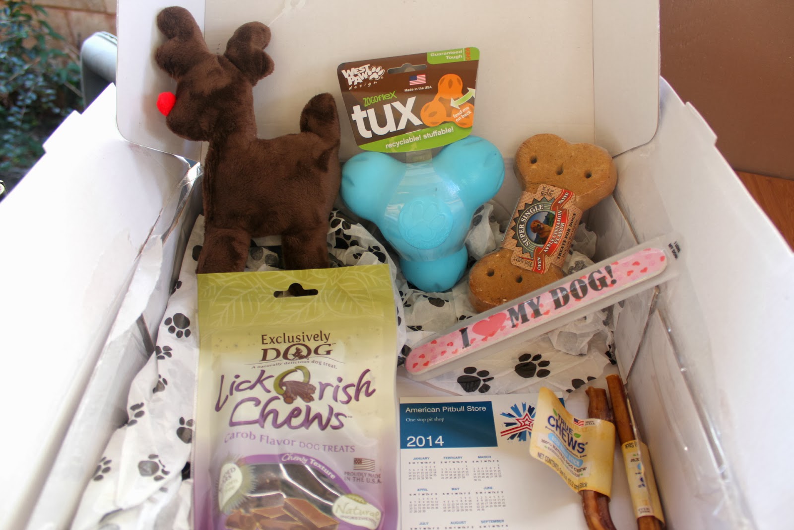 Pitbull Toy Box Wow Blog