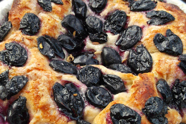 schiacciata fiorentina con l'uva