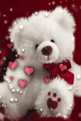 White Teddy Bear