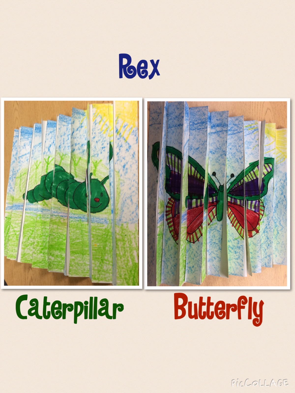 Butterfly Op Art Mrs. T's First Grade Class Bloglovin’