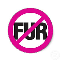 Help Make Fur History in Israel!