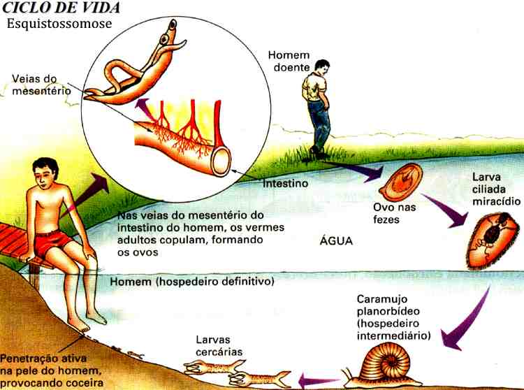 Quais são os diferentes tipos de trabalhos de enfermagem? Quais são os diferentes tipos de trabalhos de enfermagem?