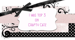 Top 3 at crafty Catz