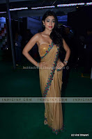 Shriya saran  sexy cleavage show in saree sexy photo