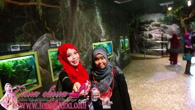 Akuarium Tunku Abdul Rahman Zoo Negara 
