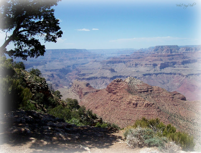 2 Bags Full - My adventures in travel, knitting, and the blessings of