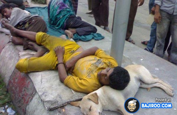 Man+Sleeping+on+Dog+Using+it+a+Pillow+Funny+Indians.jpg