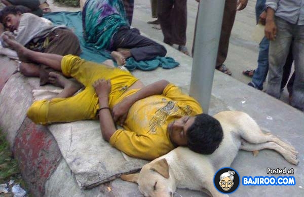 Man+Sleeping+on+Dog+Using+it+a+Pillow+Funny+Indians.jpg