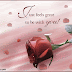 Greeting Card Design and Online Card