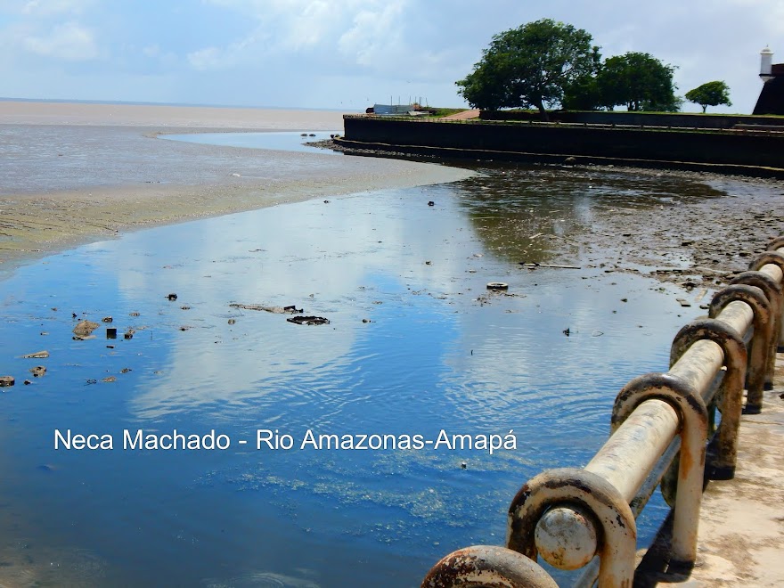 RIO AMAZONAS-AMAPÁ