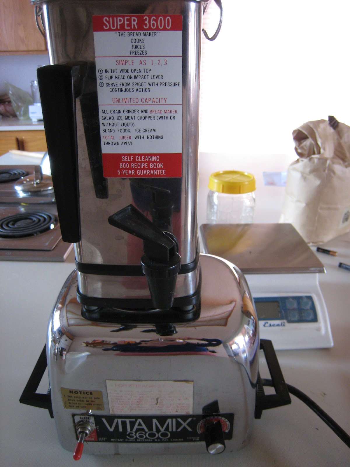 Dreaming A Beautiful World How to Make Fresh Echinacea Purpurea Tincture