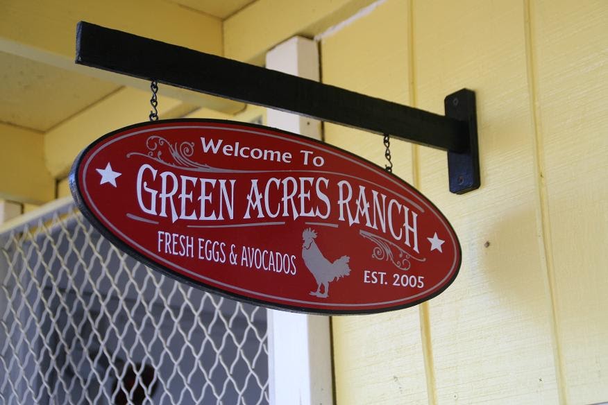 Anne Fannie's Green Acres My Chicken Coop