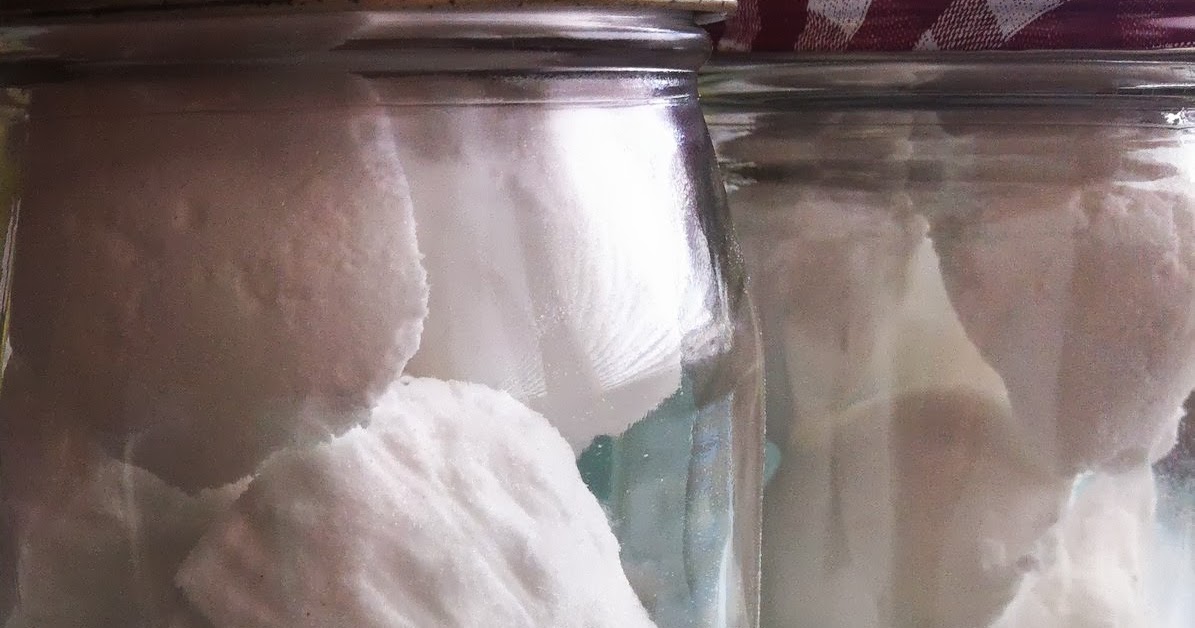 our carlson life diy thursday baking soda dishwasher bombs